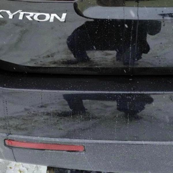 31 9